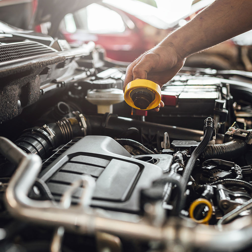 mechanic checking fluids in vehicle Legacy Auto Clinic Castle Rock 